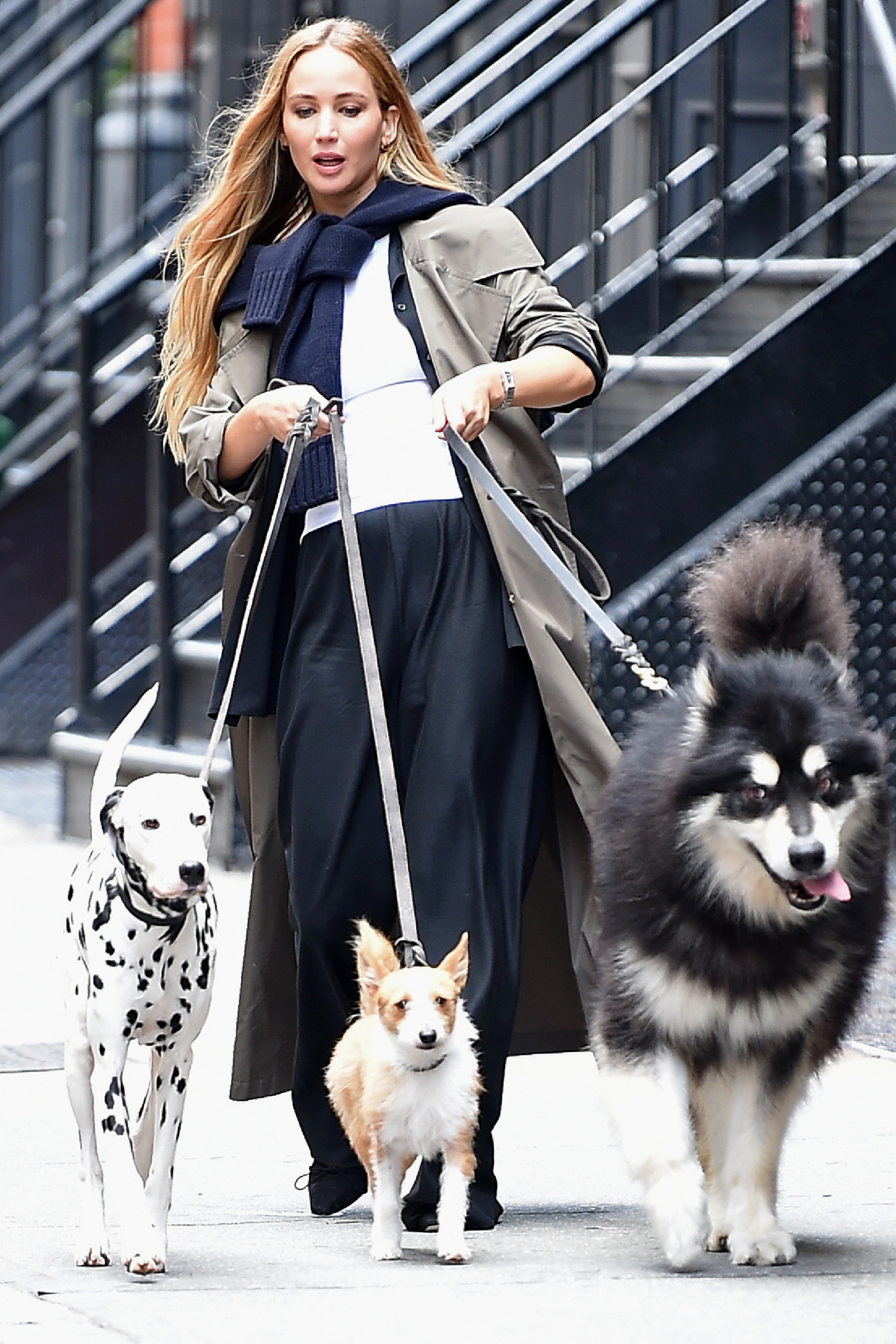 Image may contain Jennifer Lawrence Clothing Coat Adult Person Animal Canine Mammal Pet Dog and Walking Dog